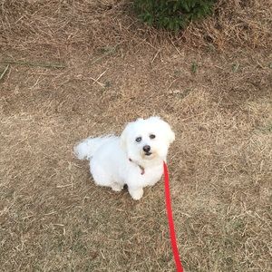 Meet your Posher, Ellen